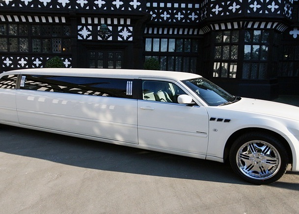 Private driver for persons who are visiting Stockholm