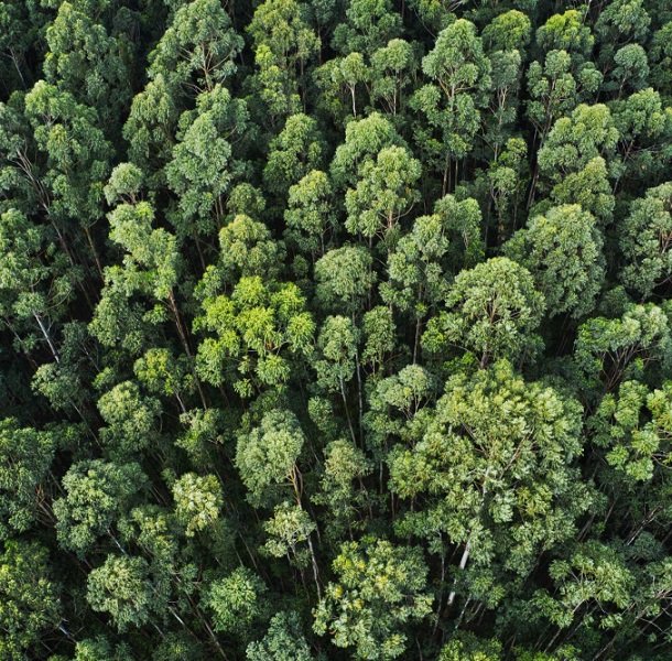 Golvslipare klimatvänlig Stockholm